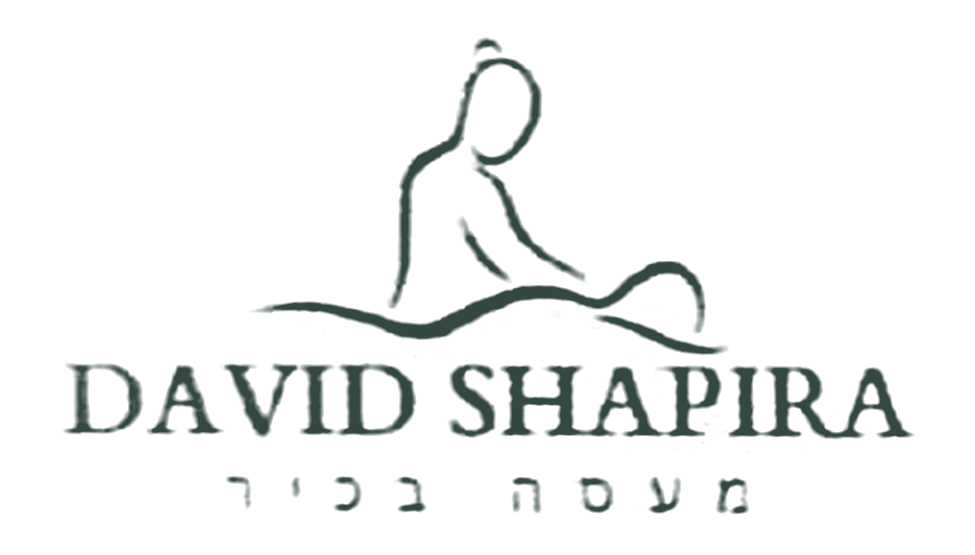 David Shapira logo
